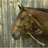 3/4" Premium Show Halter with Plate - Equestrian Chic Boutique