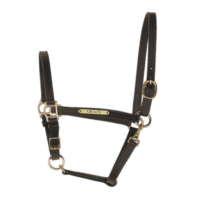 3/4" Leather Turnout Halter with Plate - Black - Equestrian Chic Boutique
