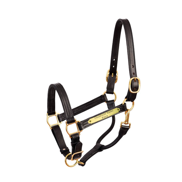 Premium Leather Show Halter with Plate
