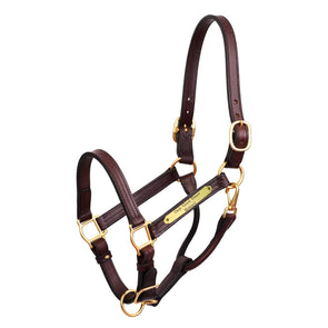 Leather Show Halter with Plate - Equestrian Chic Boutique