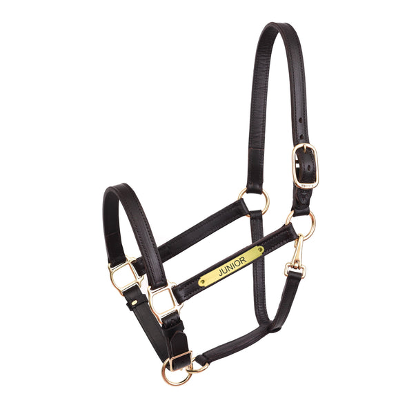 1" Leather Turnout Halter with Plate - Equestrian Chic Boutique