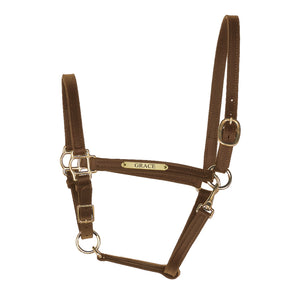 3/4" Leather Turnout Halter with Plate - Havanna - Equestrian Chic Boutique