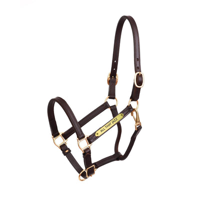 3/4" Premium Show Halter with Plate - Equestrian Chic Boutique