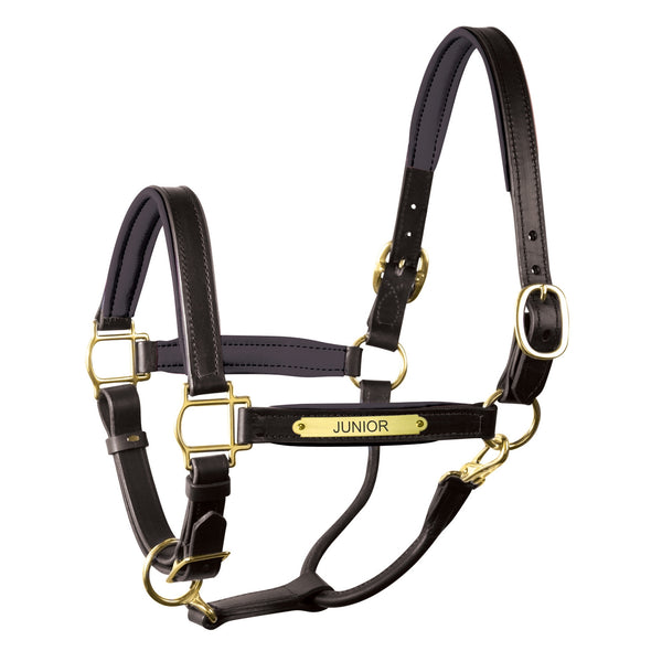 Padded Leather Halter with Plate - Black - Equestrian Chic Boutique