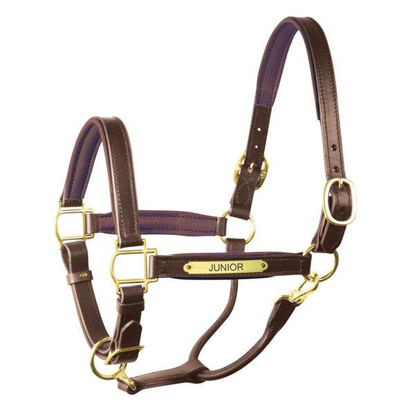Padded Leather Halter with Plate - Equestrian Chic Boutique