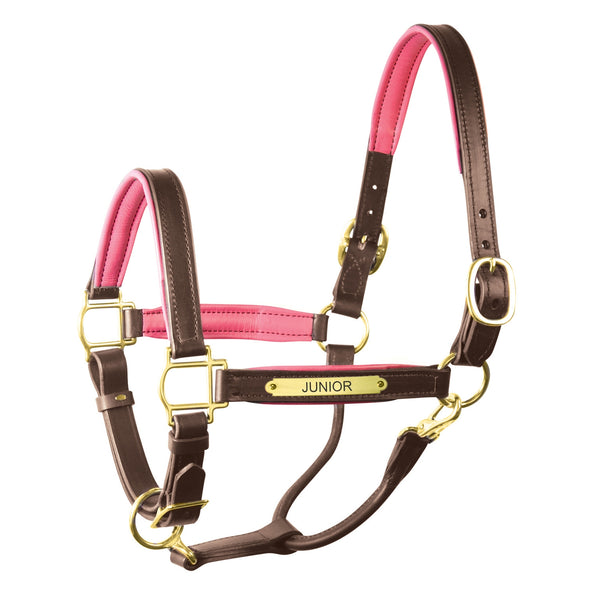 Padded Leather Halter with Plate - Equestrian Chic Boutique